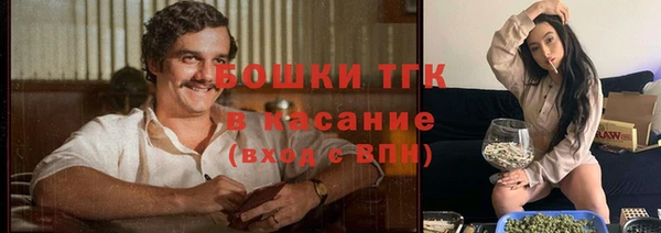 тгк Ельня