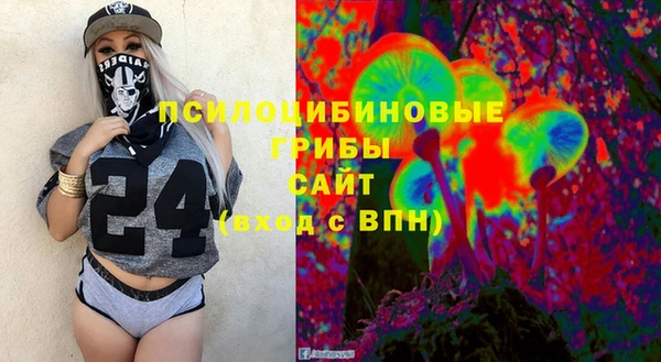 ГАЛЛЮЦИНОГЕННЫЕ ГРИБЫ Елизово