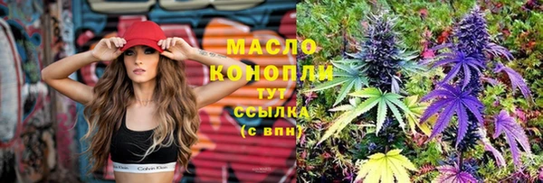 тгк Ельня