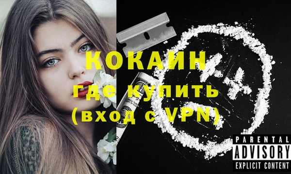 ГАЛЛЮЦИНОГЕННЫЕ ГРИБЫ Елизово